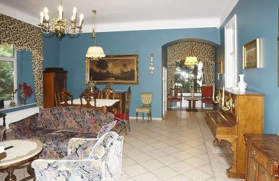 Casa señorial en venta Borowina, Voivodato de Lublin, Imagen 7/20