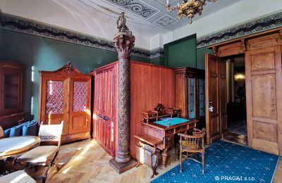 Palacio en venta Jihočeský kraj, Imagen 16/21