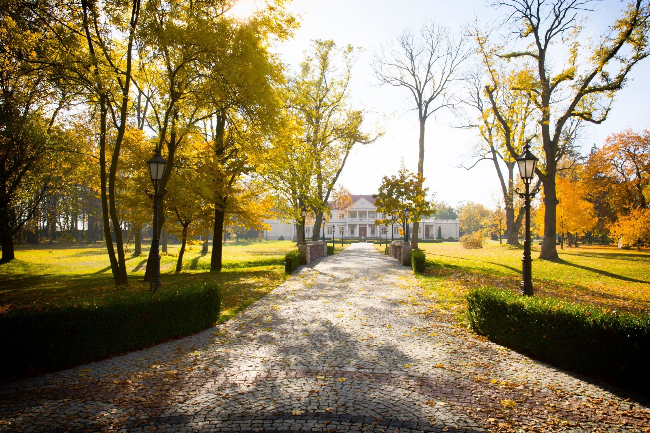 Fotos Mansión y parque en Zborów, región de Gran Polonia