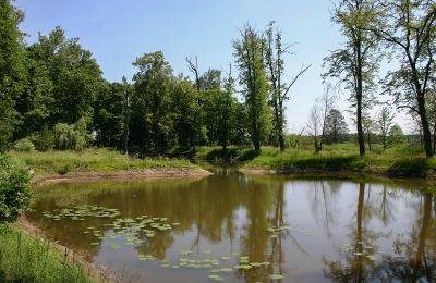 Palacio en venta Radoszewnica, Voivodato de Silesia, Lago