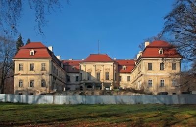 Palacio en venta Grodziec, Voivodato de Baja Silesia, Vista posterior