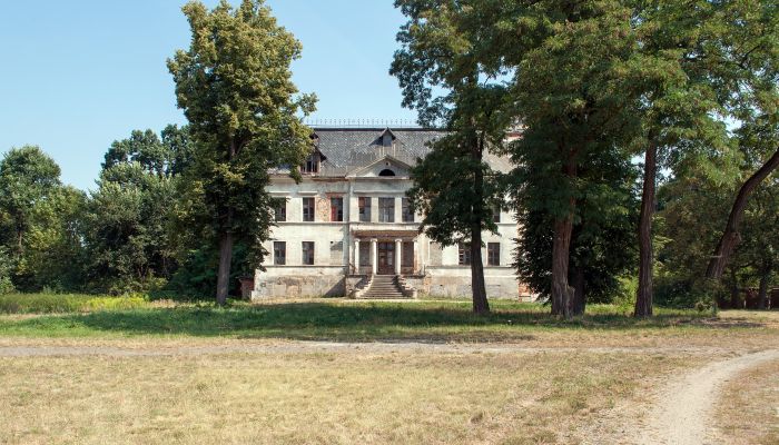 Palacio Budziwojów 2