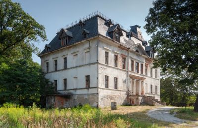 Palacio en venta Budziwojów, Pałac w Budziwojowie, Voivodato de Baja Silesia, Imagen 16/17