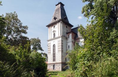 Palacio en venta Budziwojów, Pałac w Budziwojowie, Voivodato de Baja Silesia, Imagen 17/17