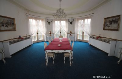 Casa señorial en venta Karlovy Vary, Karlovarský kraj, Interior 1