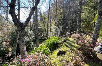 Casa señorial en venta 36740 Tomiño, Galicia, Imagen 20/37