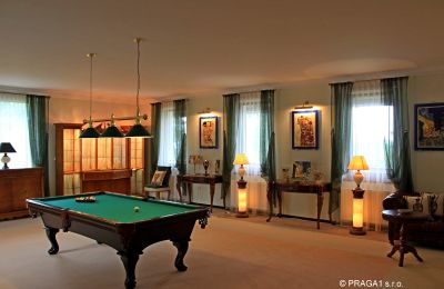 Palacio en venta Karlovy Vary, Karlovarský kraj, Imagen 8/14