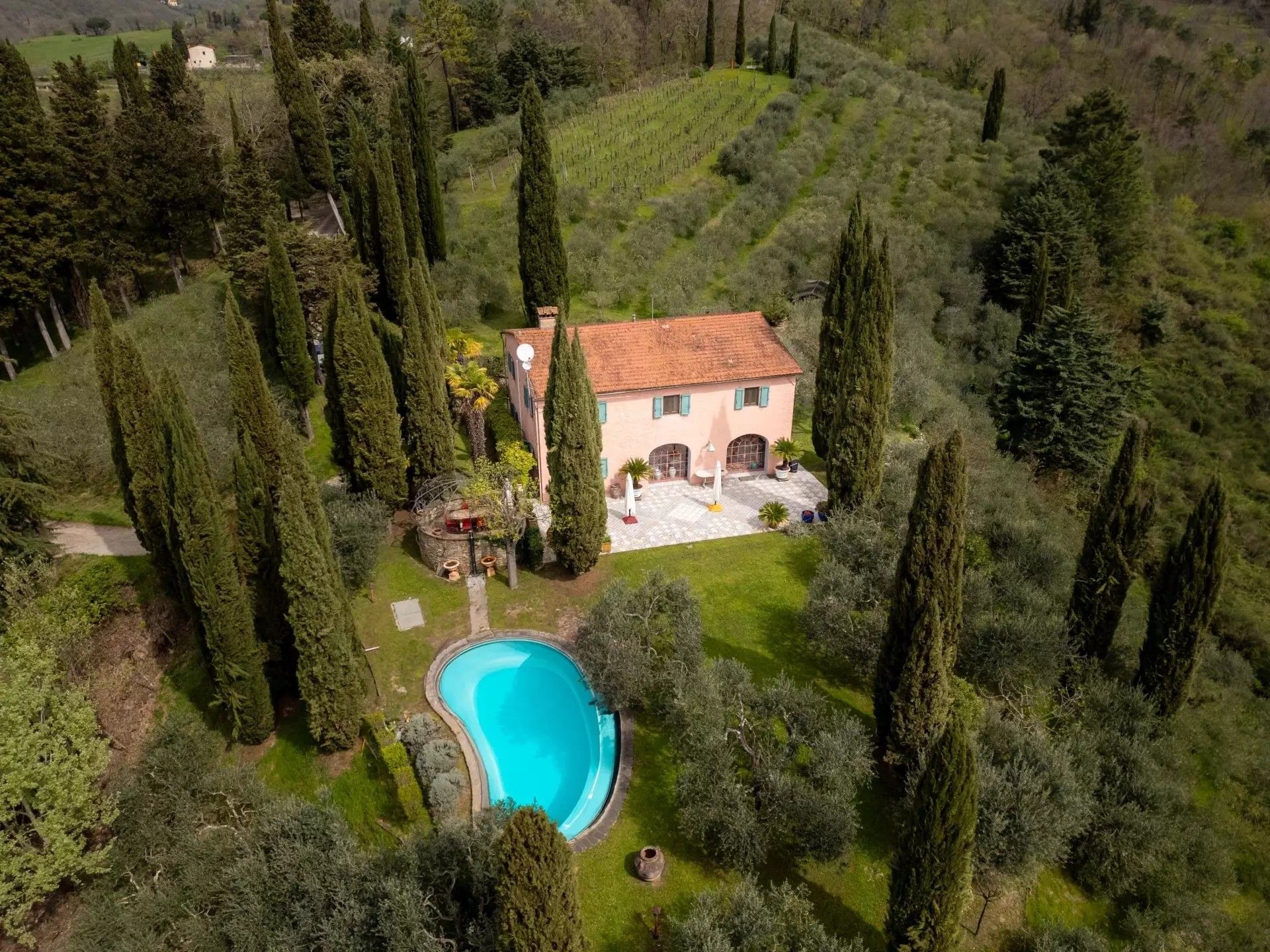 Fotos Mugello: Casa rural renovada con viñedo al norte de Florencia