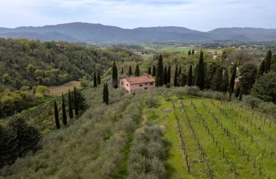 Casa de campo en venta Vicchio, Toscana, Imagen 36/39