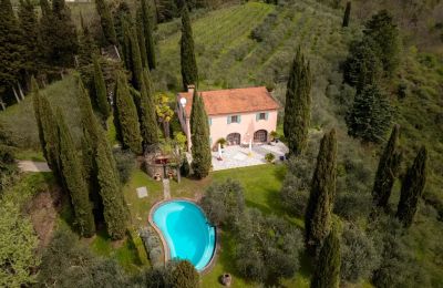 Inmuebles con carácter, Mugello: Casa rural renovada con viñedo al norte de Florencia