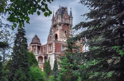 Retrato inmobiliario: Castillo de Boberstein/Bobrów, Imagen 1