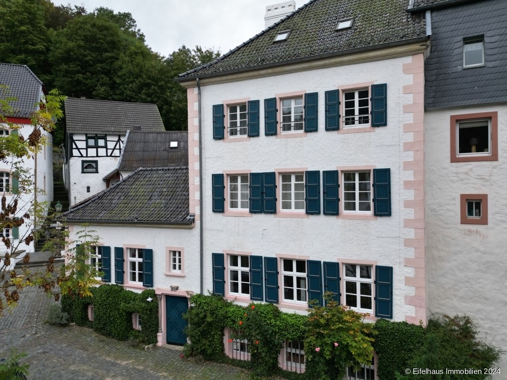 Fotos Historisches Stadthaus-Juwel, saniert, auf 5 Ebenen: Wohnen, Arbeiten, Ausstellen, ges. 234 m²