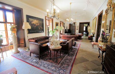 Palacio en venta Kraj Vysočina, Sala grande