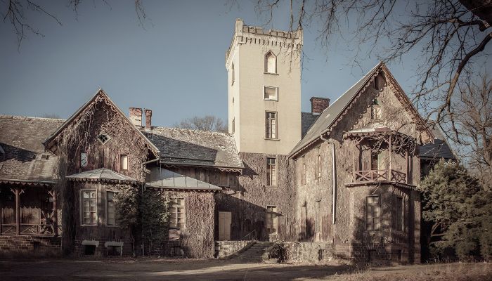 Palacio en venta Sośnie, województwo wielkopolskie,  Polonia