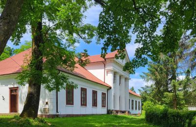 Inmuebles con carácter, Encantadora casa señorial en Rożnów - sin comisiones