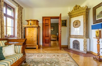 Casa señorial en venta Czekanowo, województwo wielkopolskie, Estufa de azulejos