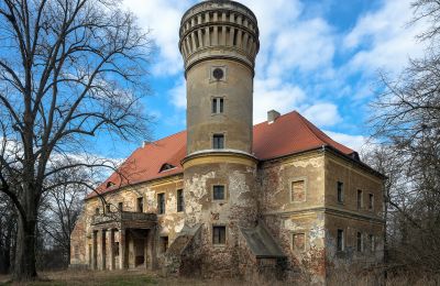 Palacio en venta Osetno, Pałac w Osetnie, Voivodato de Baja Silesia, Vista exterior