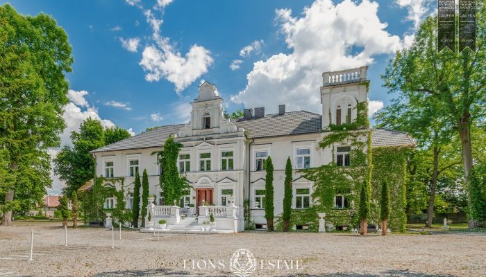 Casa señorial en venta Pstrokonie, Voivodato de Łódź,  Polonia