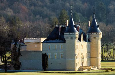 Inmuebles con carácter, Exclusivo castillo en Francia con amplios terrenos