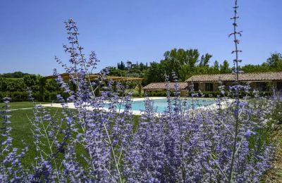 Finca en venta Montepulciano, Toscana, Imagen 17/17