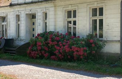 Casa señorial en venta 18556 Zürkvitz,  Zürkwitzer Str. 15, Mecklemburgo-Pomerania Occidental, Imagen 20/23