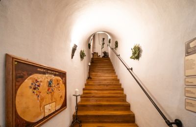 Castillo en venta Karlovarský kraj, Escalera