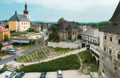 Castillo en venta Karlovarský kraj, Vista