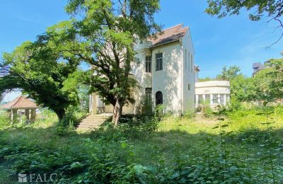 Villa histórica en venta 99510 Apolda, Lessingstraße 62, Turingia, Propiedad