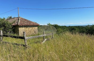 Propiedad histórica en venta Mirande, Occitania, Imagen 27/45