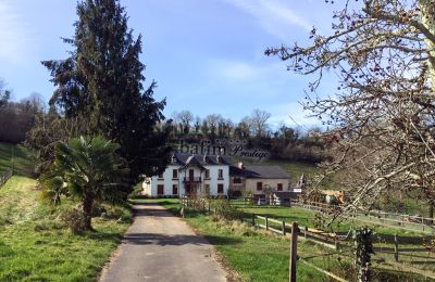 Casa señorial en venta Pau, Nueva Aquitania, Acceso