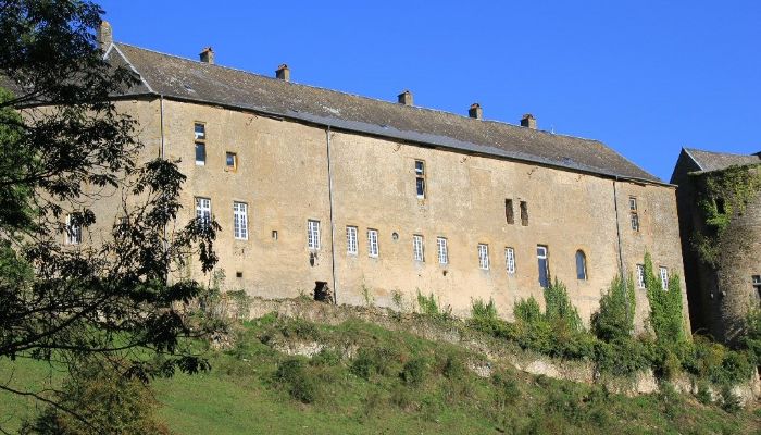 Palacio Roussy-le-Bourg 4