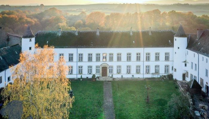 Palacio Roussy-le-Bourg 1