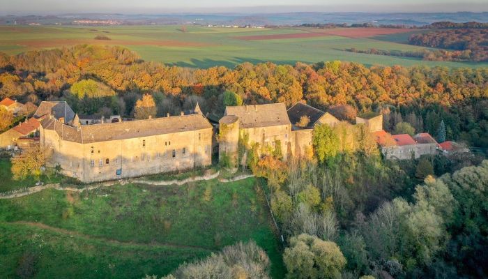 Palacio en venta Roussy-le-Bourg, Grand-Est,  Francia