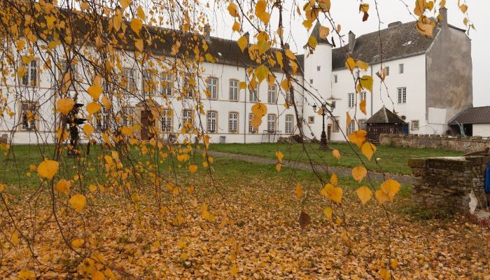 Palacio Roussy-le-Bourg 2