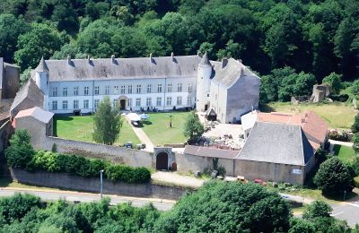 Palacio en venta Roussy-le-Bourg, Grand-Est, Château de Roussy-Comté