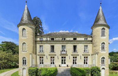 Palacio en venta Centre-Val de Loire, Vista frontal