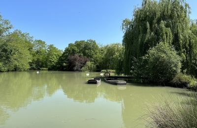 Palacio en venta Centre-Val de Loire, Lago