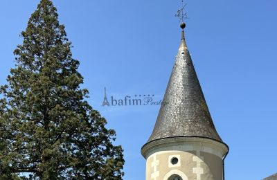 Palacio en venta Centre-Val de Loire, Detalles