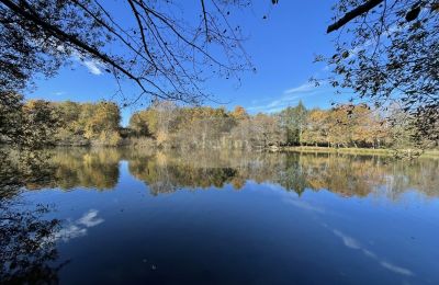 Casa señorial en venta Eauze, Occitania, Lago