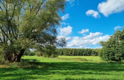 Casa señorial en venta 18461 Grenzin, Mecklemburgo-Pomerania Occidental, Landschaft