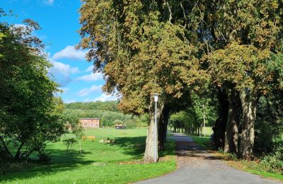 Casa señorial en venta 18461 Grenzin, Mecklemburgo-Pomerania Occidental, Blick zum Dorf