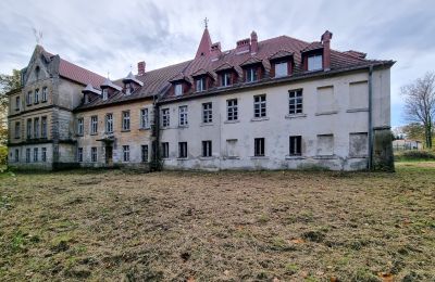 Palacio en venta Grabiszyce Średnie, Voivodato de Baja Silesia, Vista posterior