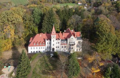 Palacio en venta Grabiszyce Średnie, Voivodato de Baja Silesia, Pałac Grabiszyce Średnie