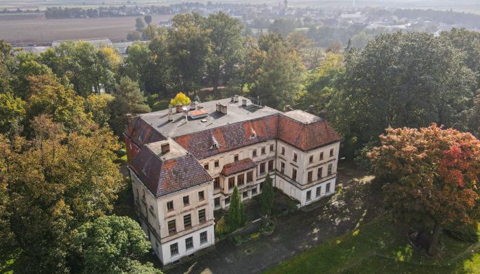 Palacio en venta Wojnowice, Voivodato de Silesia,  Polonia