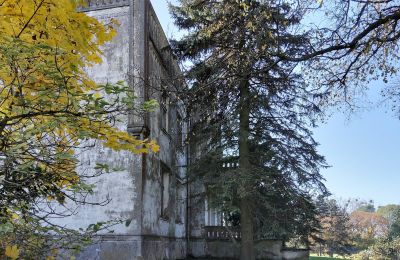 Palacio en venta Górki Dąbskie, Pałac w Górkach Dąbskich, Voivodato de Cuyavia y Pomerania, Imagen 13/22