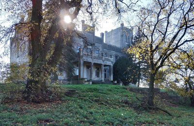 Palacio en venta Górki Dąbskie, Pałac w Górkach Dąbskich, Voivodato de Cuyavia y Pomerania, Imagen 14/22