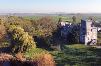 Palacio en venta Górki Dąbskie, Pałac w Górkach Dąbskich, Voivodato de Cuyavia y Pomerania, Entorno de la propiedad
