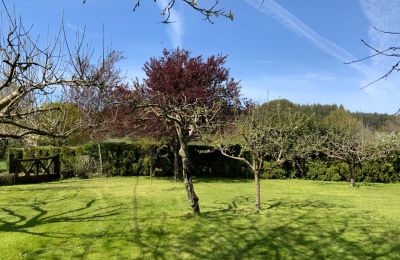 Casa de campo en venta Melide, Cabazás, Galicia, Jardín