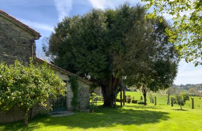 Casa de campo en venta Melide, Cabazás, Galicia, Terraza y jardín