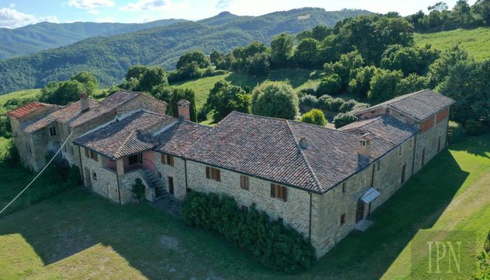 Finca Città di Castello 5